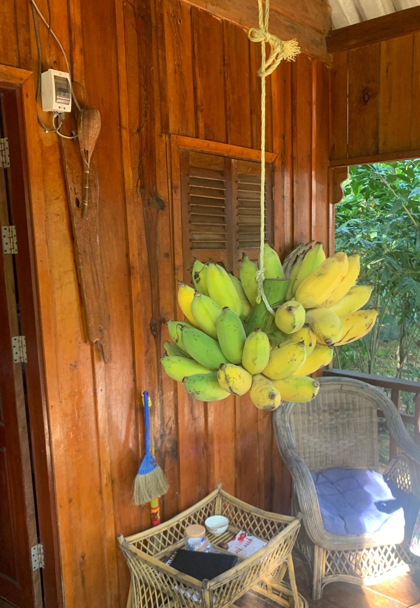 Easy Tiger Bungalows Koh Rong Sanloem Exterior foto